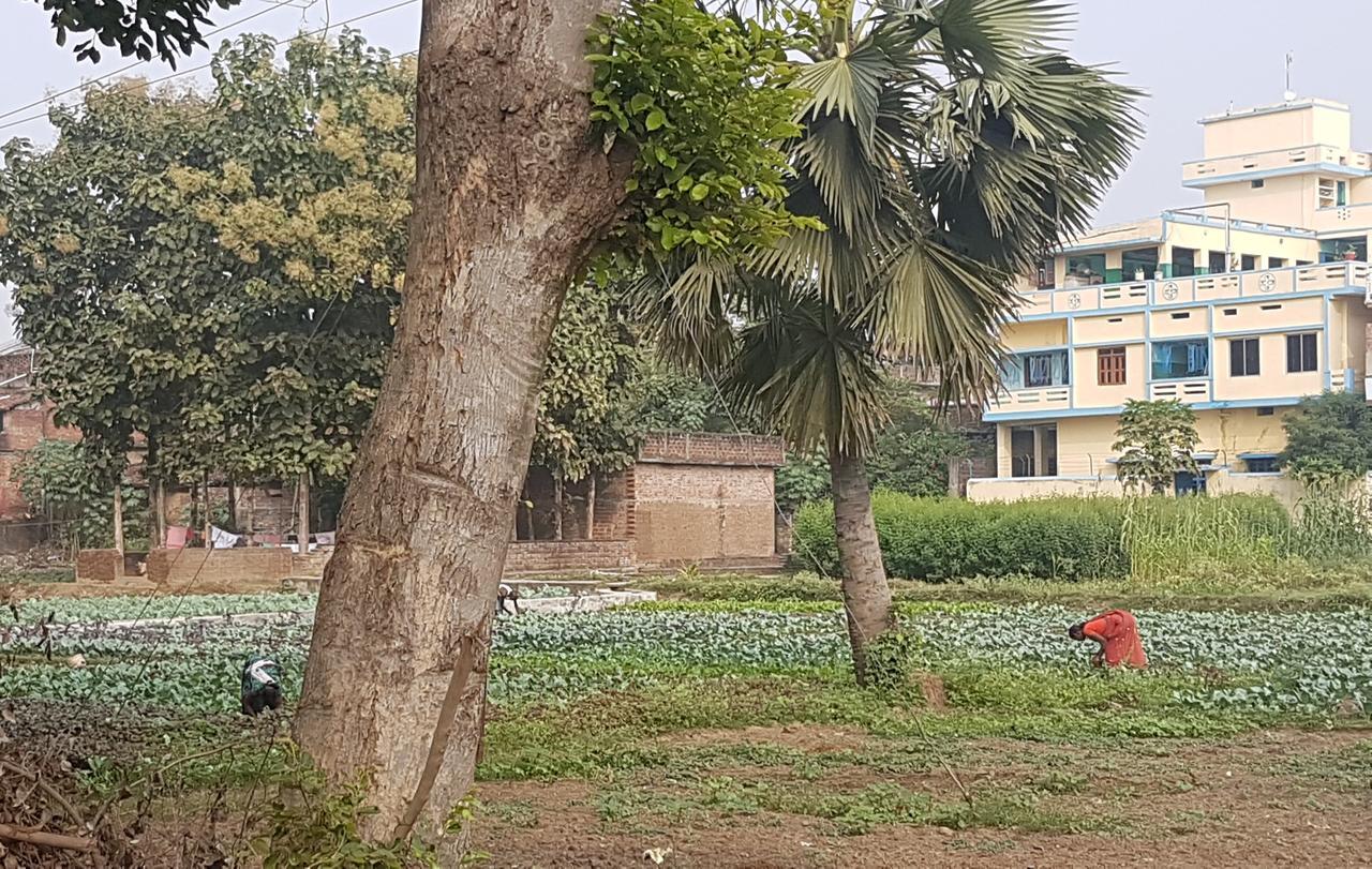 شقة Ansari House بود جايا المظهر الخارجي الصورة